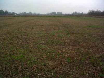 Home For Sale in Las Flores, Argentina