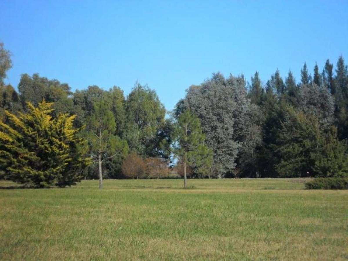 Picture of Residential Land For Sale in Brandsen, Buenos Aires, Argentina