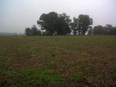 Home For Sale in Las Flores, Argentina