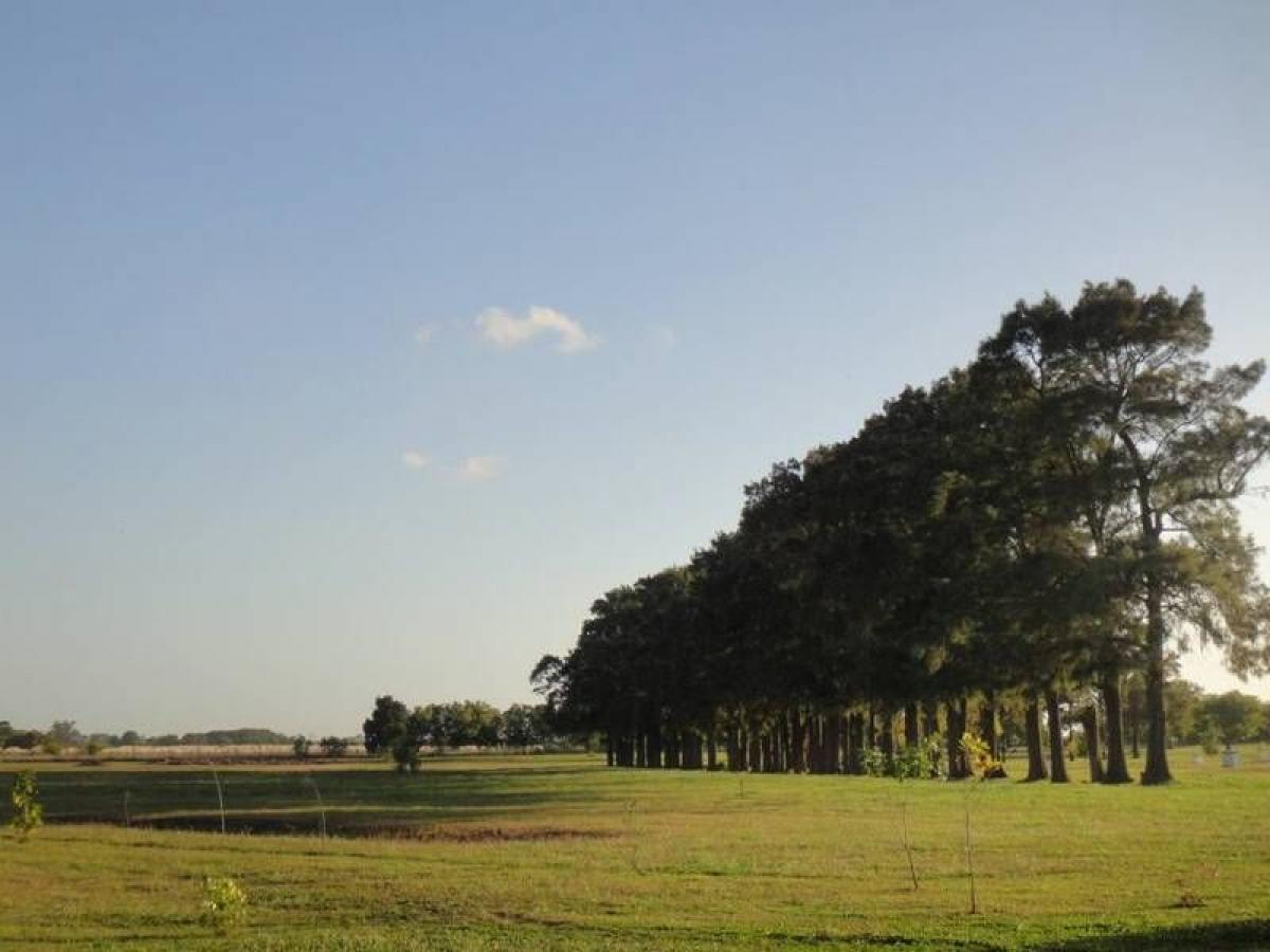 Picture of Residential Land For Sale in General Madariaga, Buenos Aires, Argentina