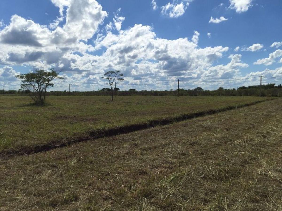Picture of Residential Land For Sale in Chaco, Chaco, Argentina