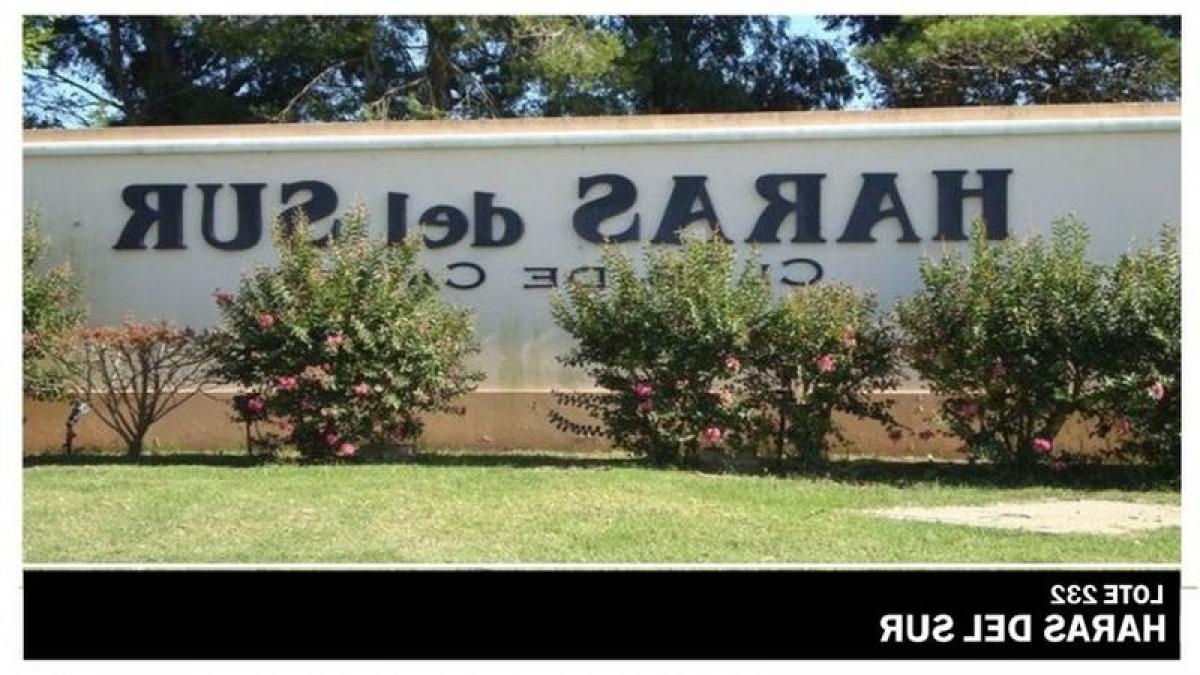 Picture of Farm For Sale in Brandsen, Buenos Aires, Argentina