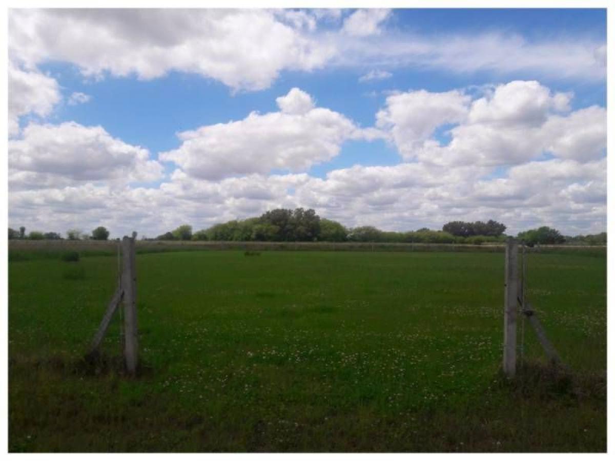 Picture of Residential Land For Sale in Roque Perez, Buenos Aires, Argentina