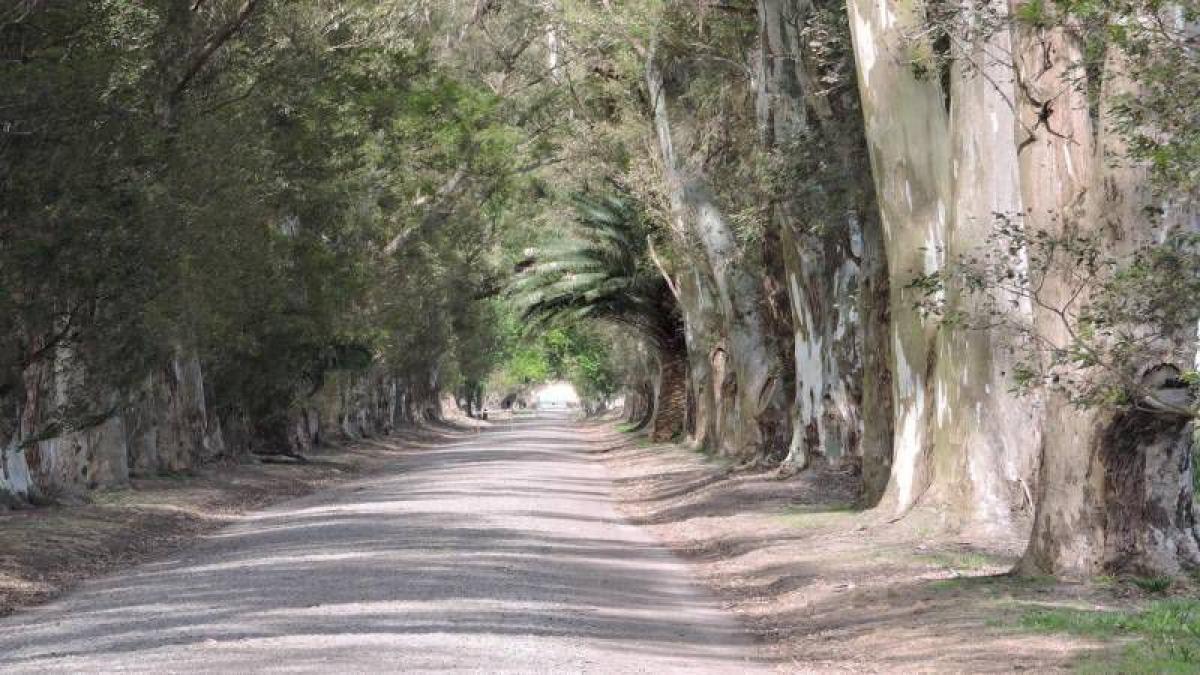 Picture of Home For Sale in San Miguel Del Monte, Buenos Aires, Argentina