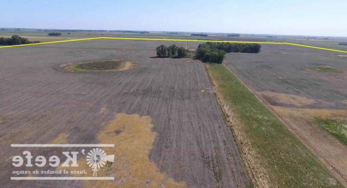 Picture of Home For Sale in Bolivar, Buenos Aires, Argentina