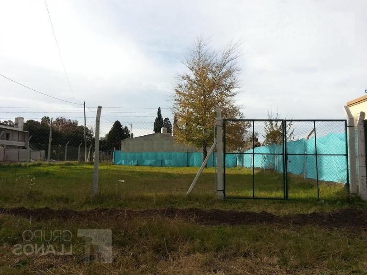 Picture of Residential Land For Sale in Laprida, Buenos Aires, Argentina
