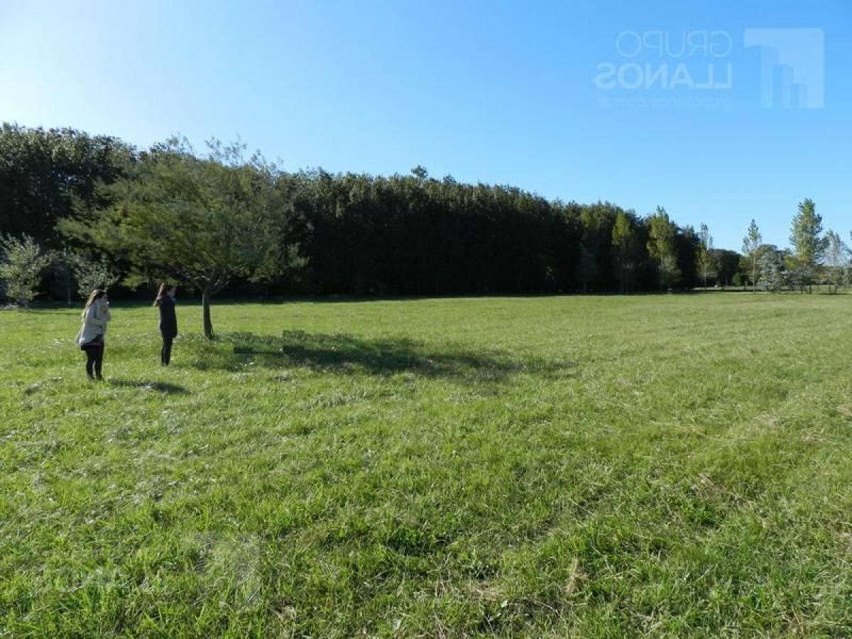 Picture of Residential Land For Sale in Bs.As. G.B.A. Zona Oeste, Buenos Aires, Argentina
