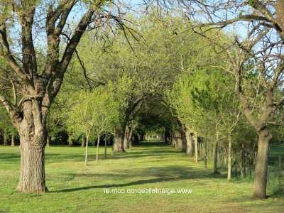 Residential Land For Sale in Lobos, Argentina