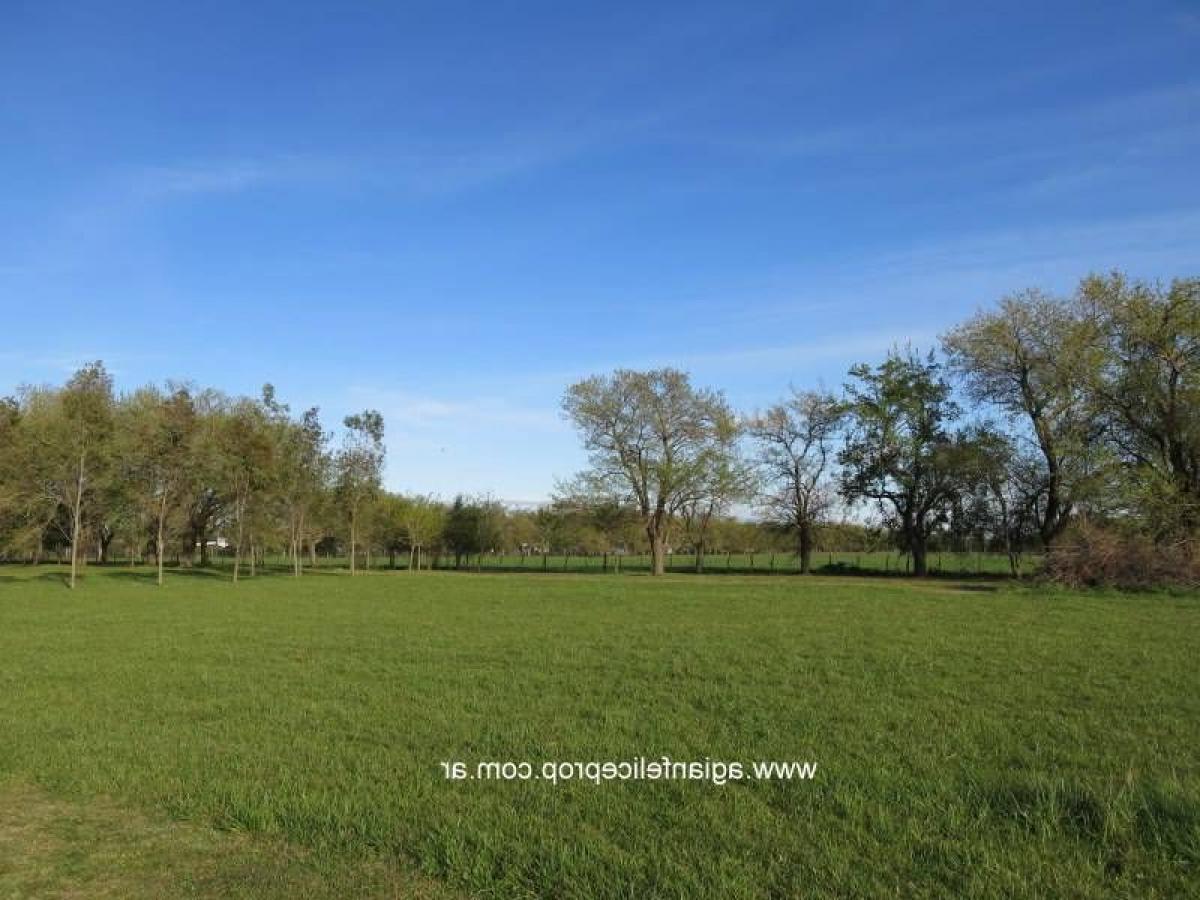Picture of Residential Land For Sale in Lobos, Buenos Aires, Argentina