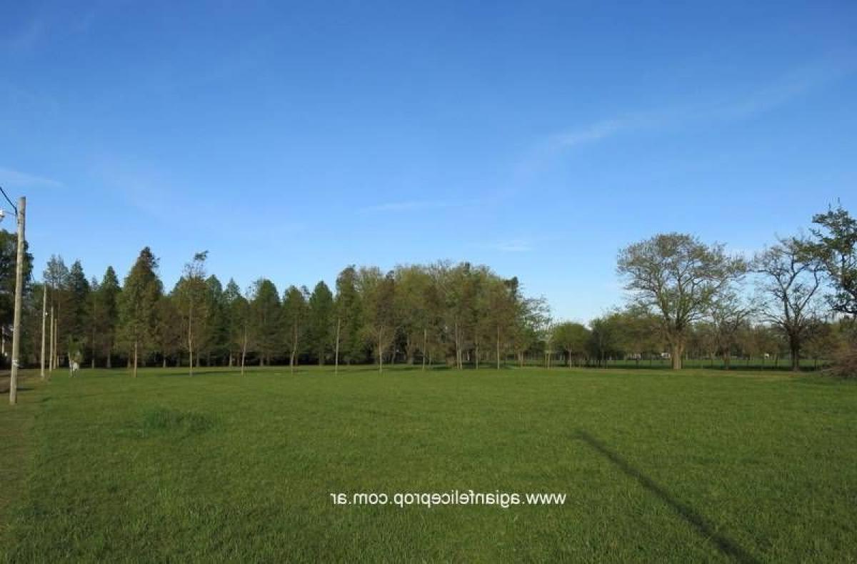 Picture of Residential Land For Sale in Lobos, Buenos Aires, Argentina