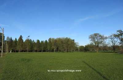 Residential Land For Sale in Lobos, Argentina