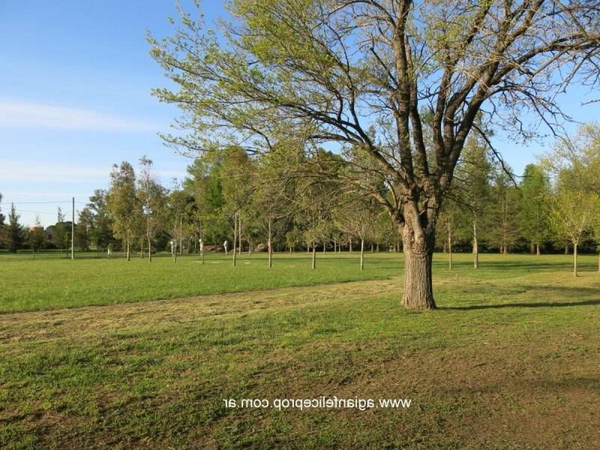 Picture of Residential Land For Sale in Lobos, Buenos Aires, Argentina