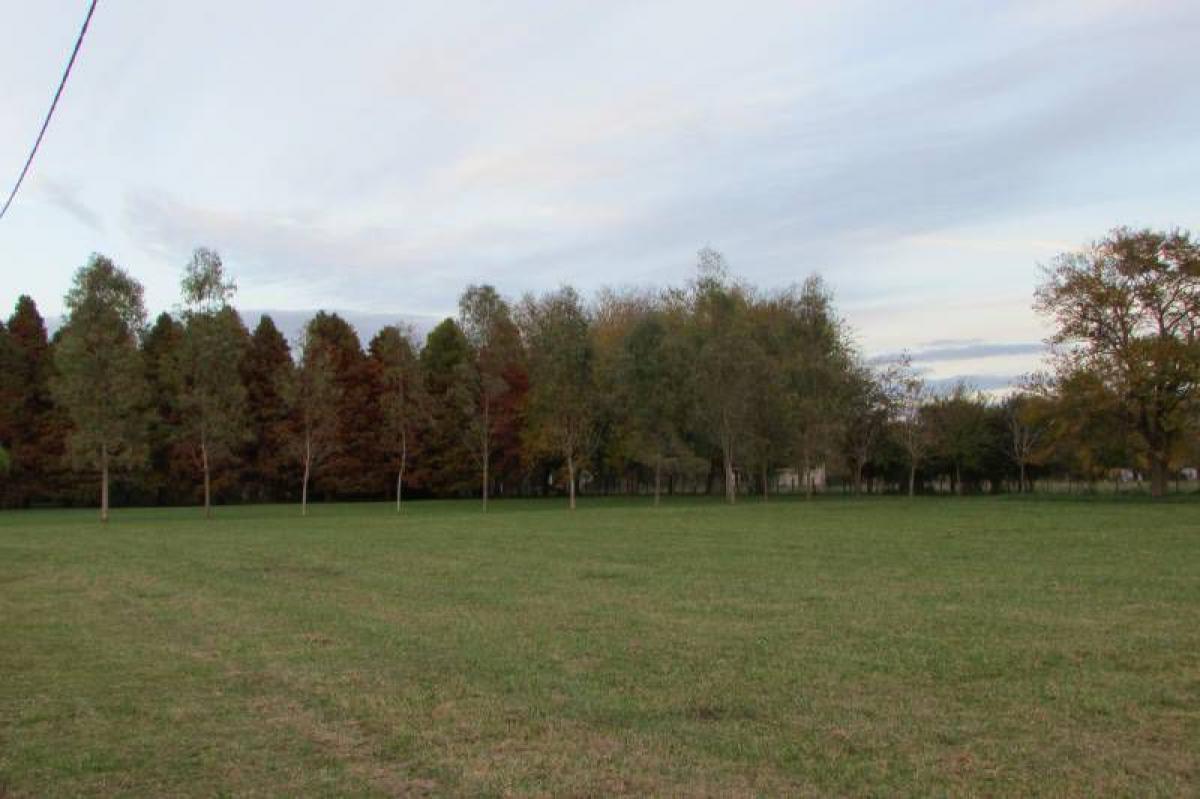 Picture of Residential Land For Sale in Lobos, Buenos Aires, Argentina