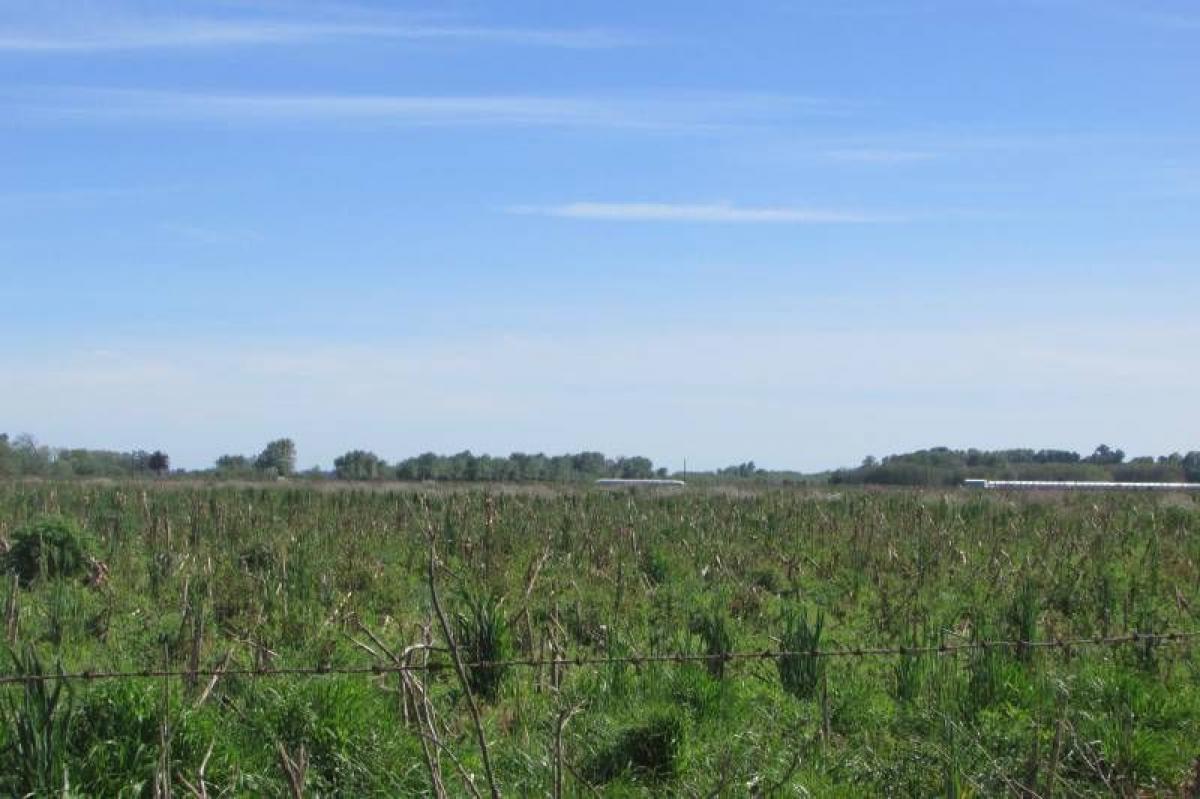 Picture of Home For Sale in Roque Perez, Buenos Aires, Argentina