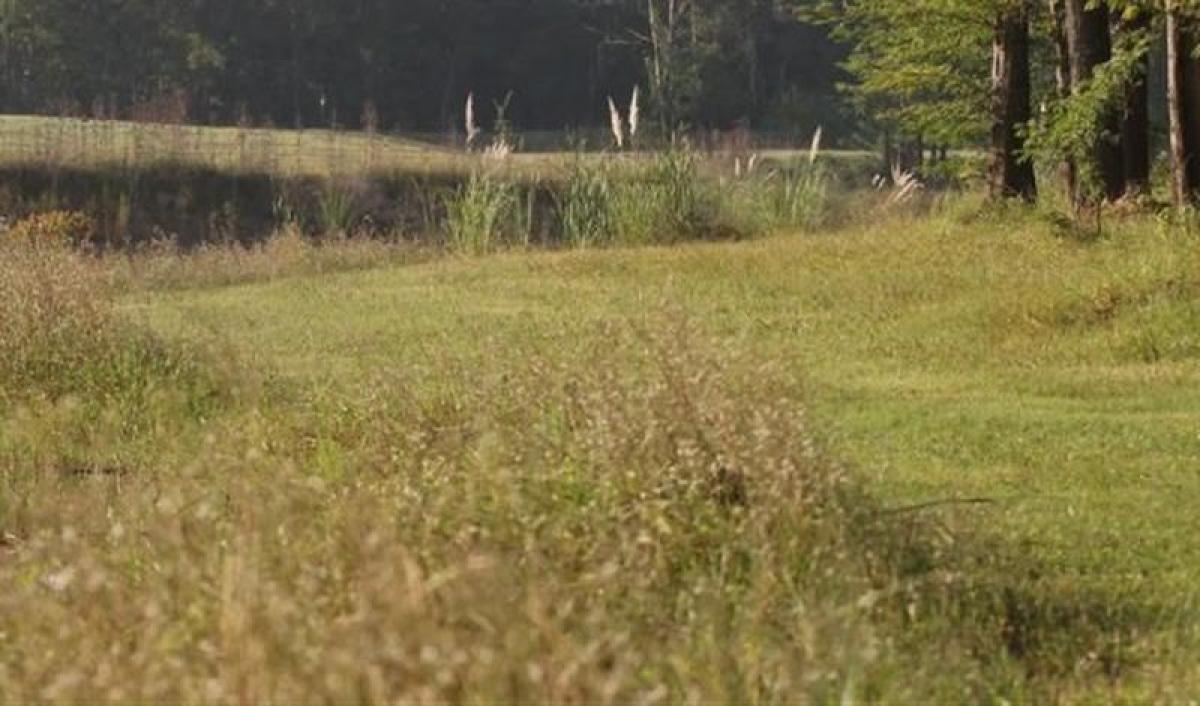 Picture of Residential Land For Sale in Pilar, Santa Fe, Argentina