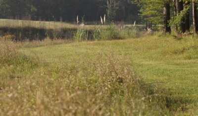 Residential Land For Sale in Pilar, Argentina