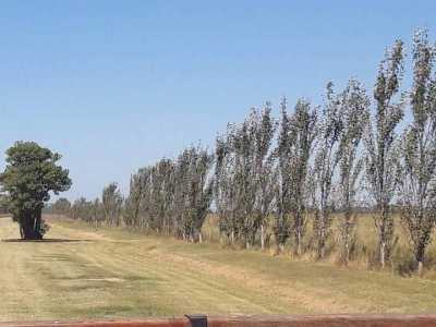 Residential Land For Sale in Lobos, Argentina