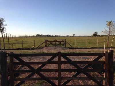 Residential Land For Sale in Lobos, Argentina
