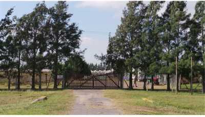 Home For Sale in Zarate, Argentina