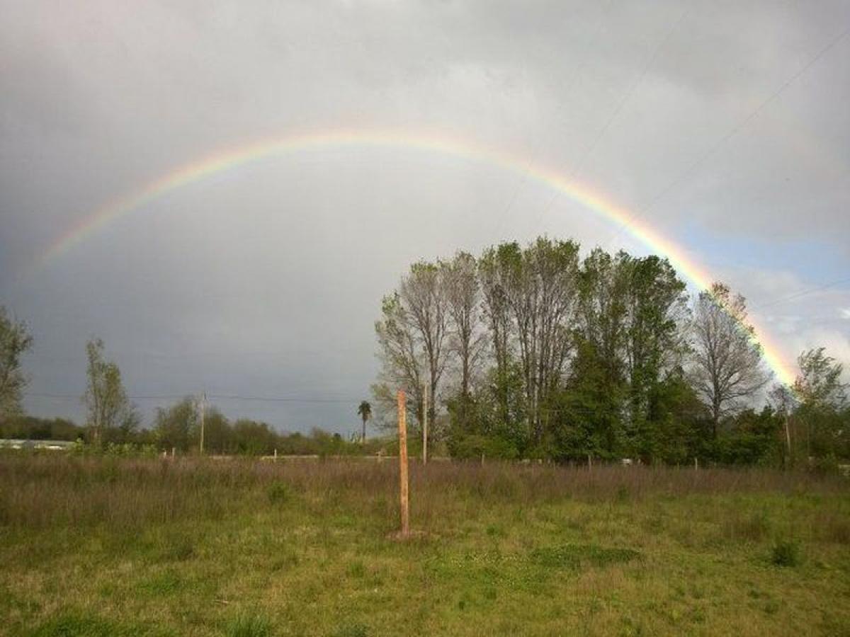 Picture of Farm For Sale in Lobos, Buenos Aires, Argentina
