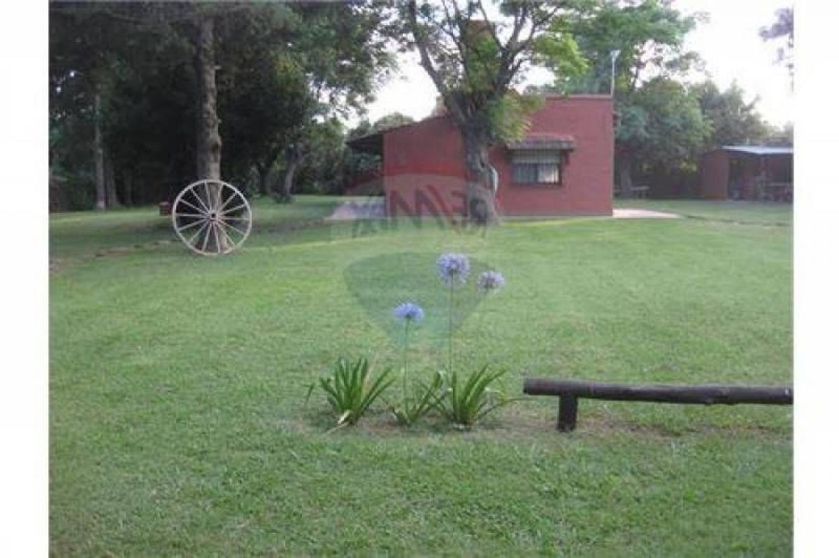 Picture of Farm For Sale in Carmen De Areco, Buenos Aires, Argentina