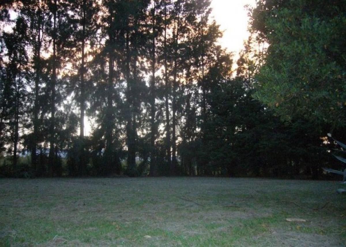 Picture of Farm For Sale in Bs.As. G.B.A. Zona Oeste, Buenos Aires, Argentina