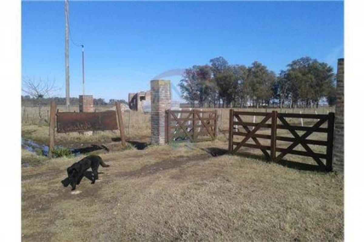 Picture of Farm For Sale in Mercedes, San Luis, Argentina