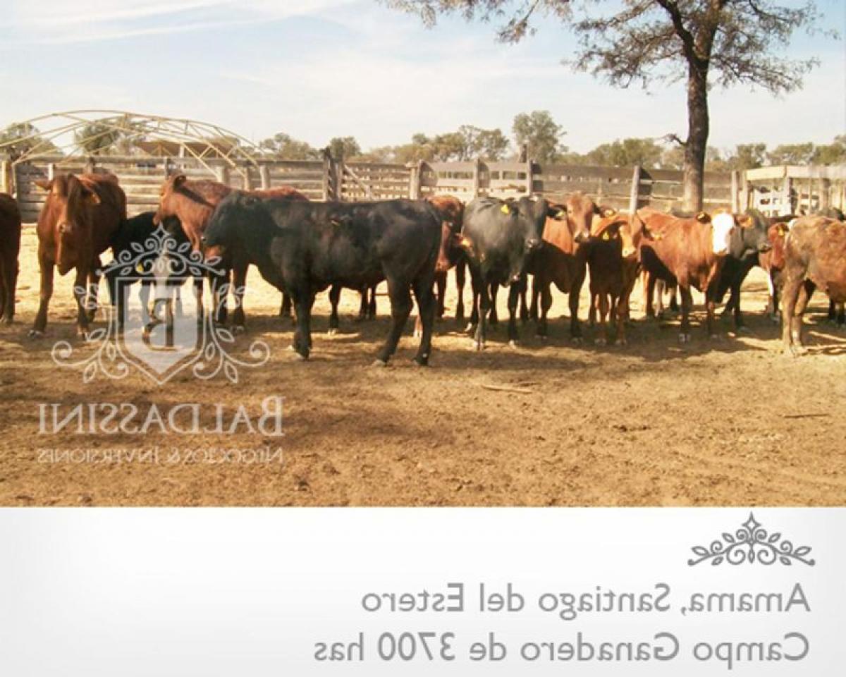 Picture of Home For Sale in Santiago Del Estero, Santiago del Estero, Argentina