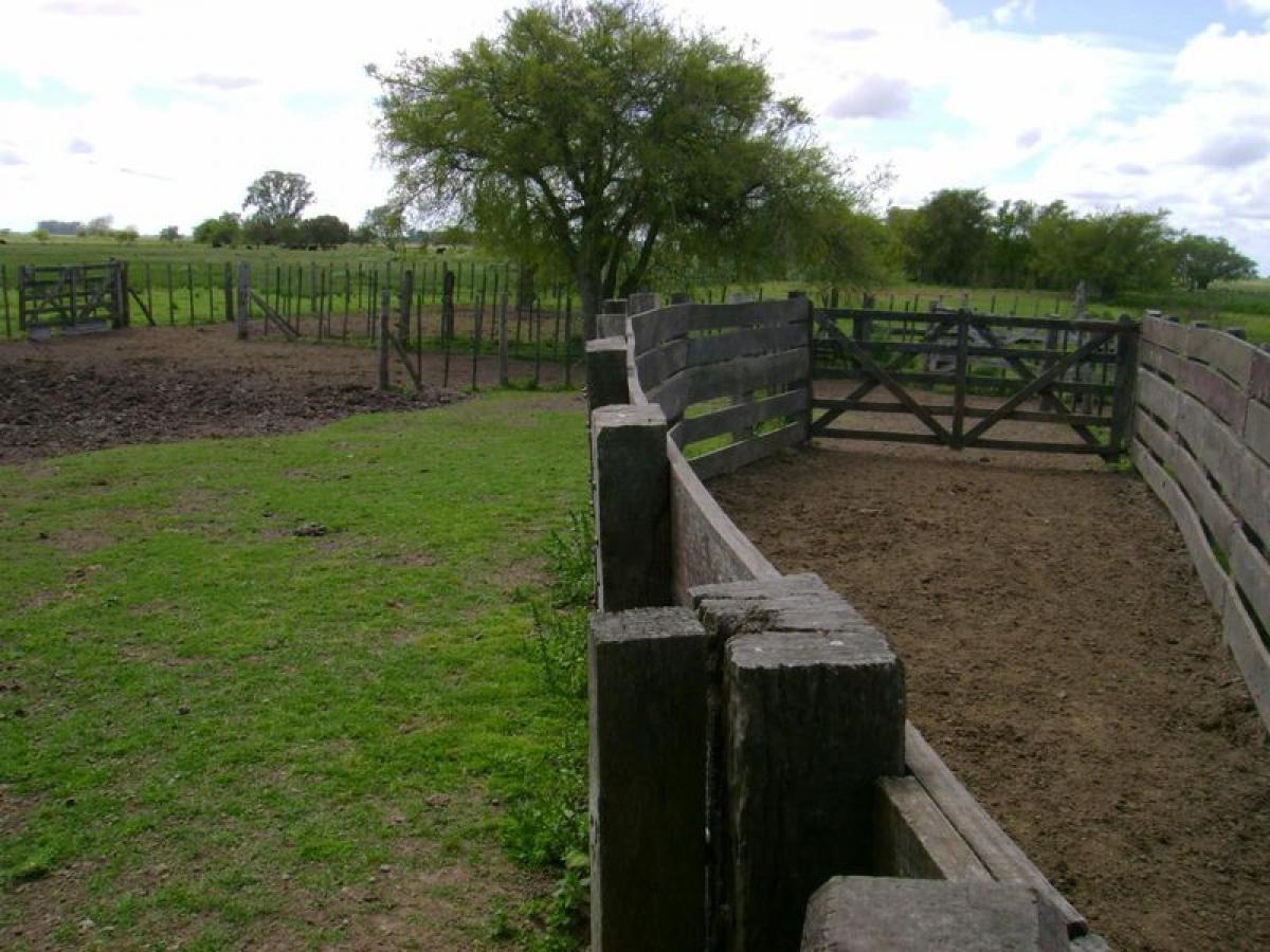 Picture of Home For Sale in Punta Indio, Buenos Aires, Argentina