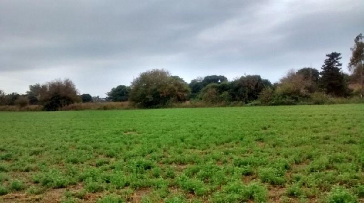 Picture of Home For Sale in Formosa, Formosa, Argentina