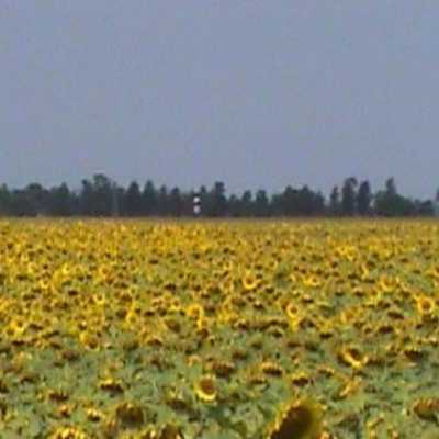 Home For Sale in Chaco, Argentina