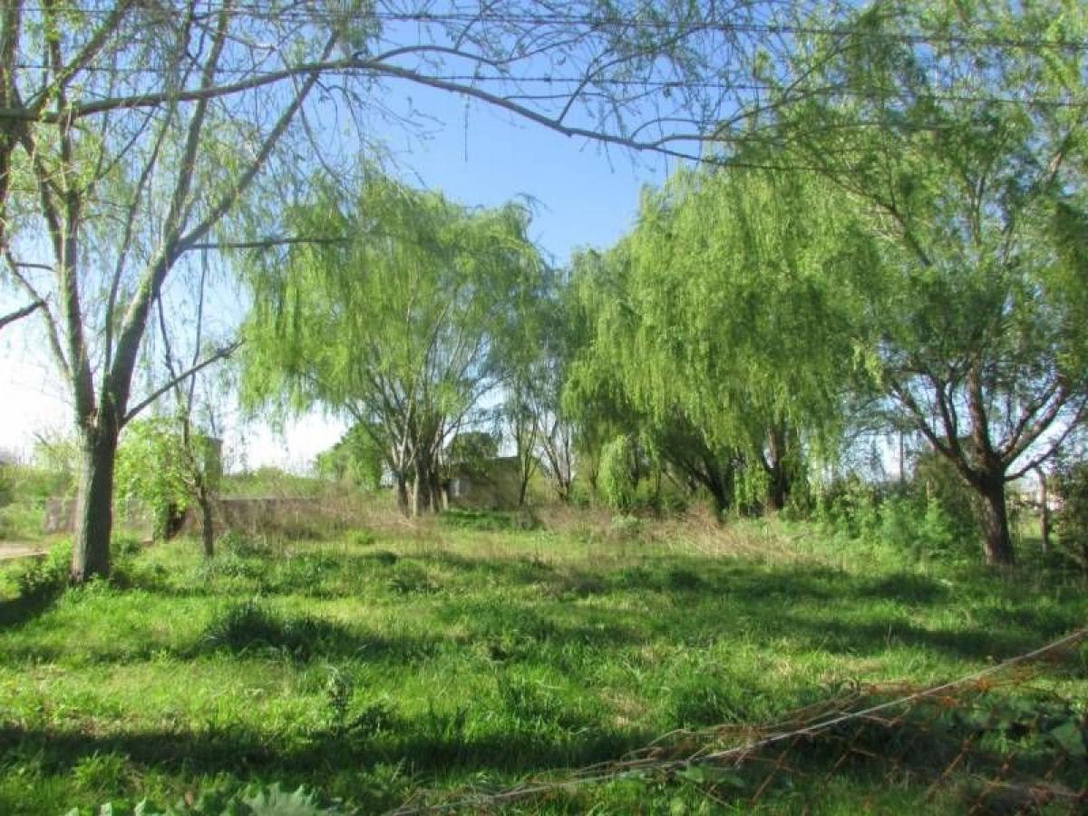 Picture of Residential Land For Sale in Roque Perez, Buenos Aires, Argentina