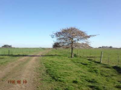 Home For Sale in San Antonio De Areco, Argentina