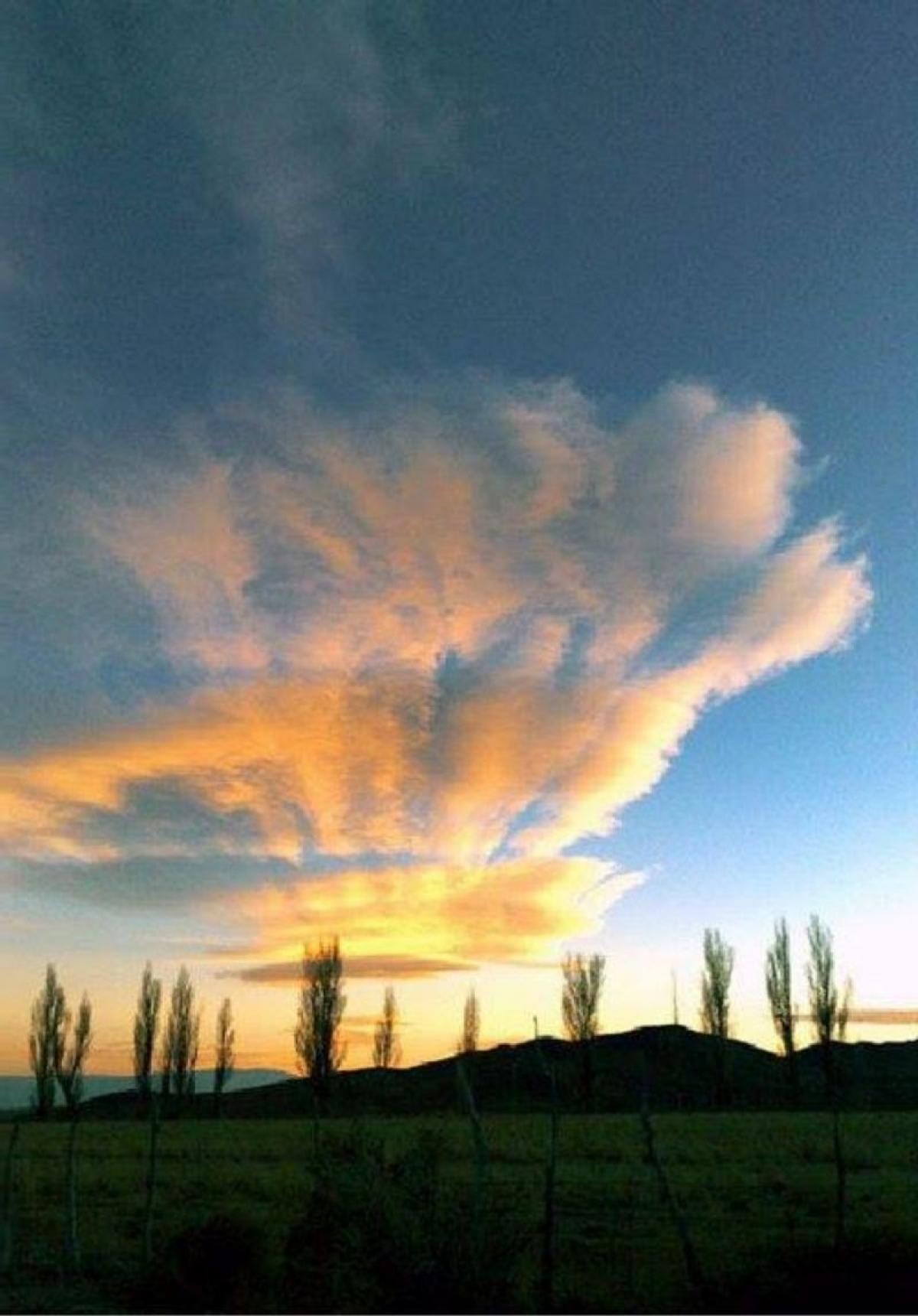 Picture of Home For Sale in San Juan, San Juan, Argentina