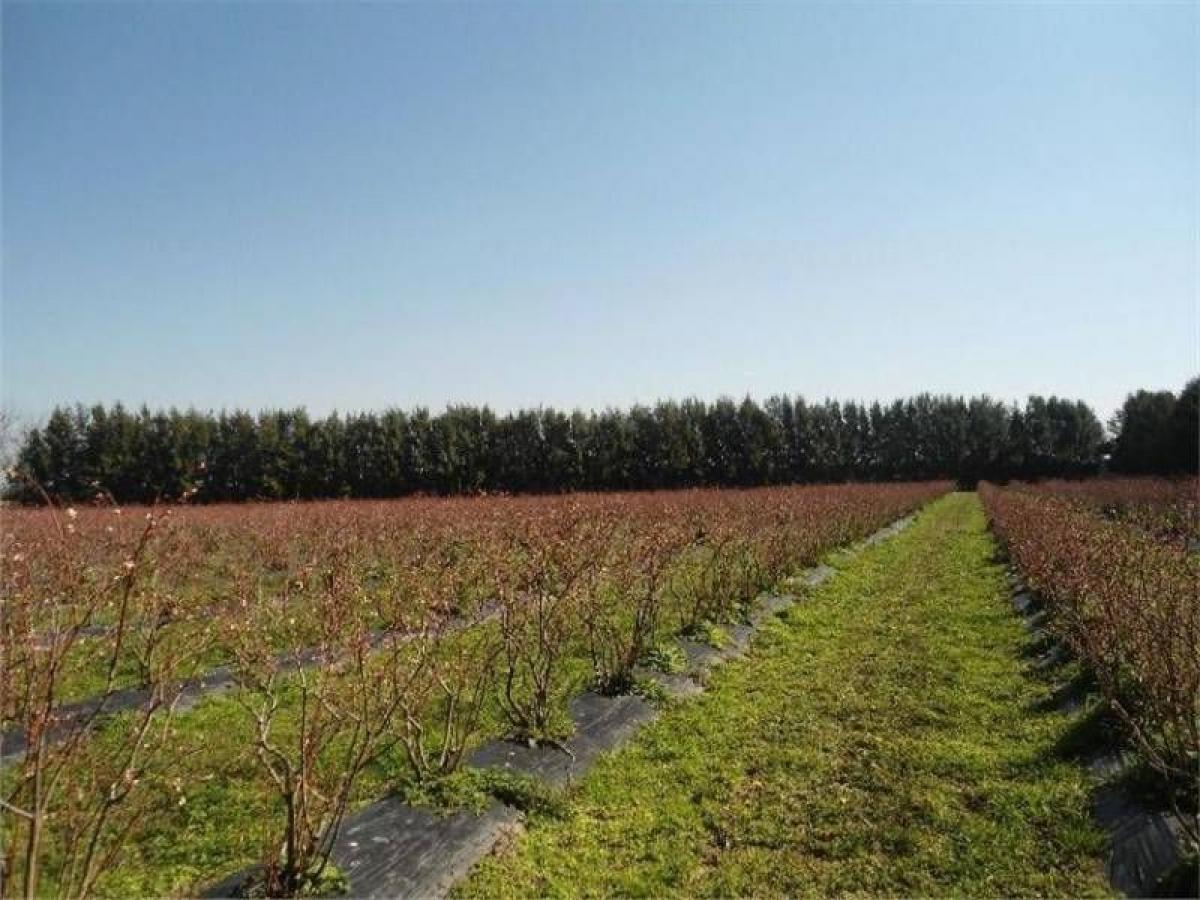 Picture of Home For Sale in San Andres De Giles, Buenos Aires, Argentina