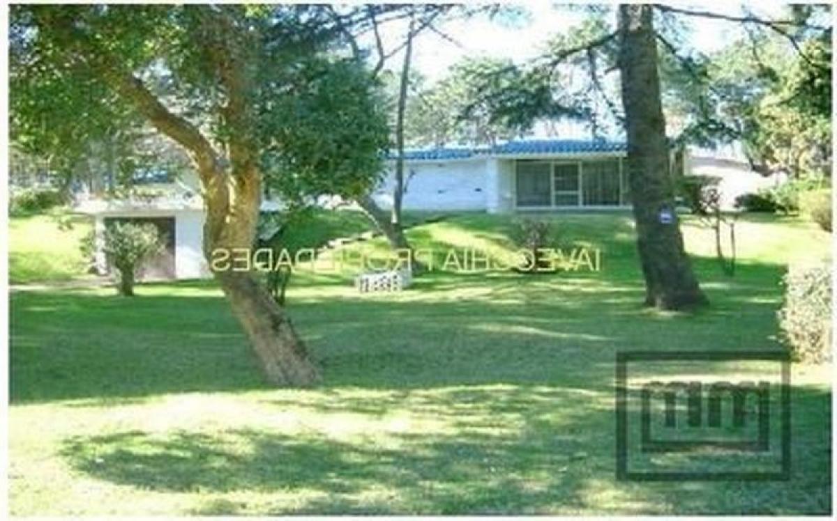 Picture of Home For Sale in Rivadavia, Mendoza, Argentina