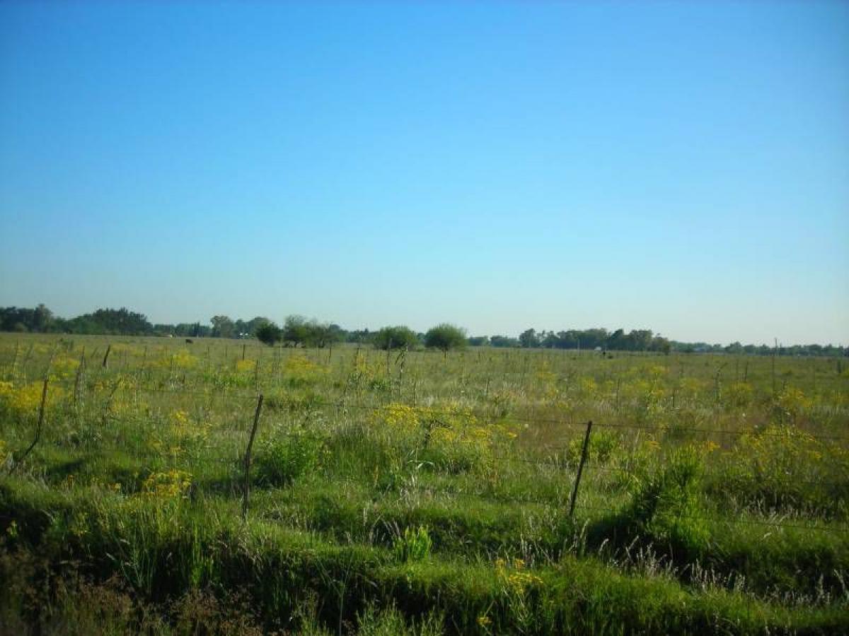 Picture of Home For Sale in Canuelas, Buenos Aires, Argentina