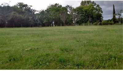 Residential Land For Sale in