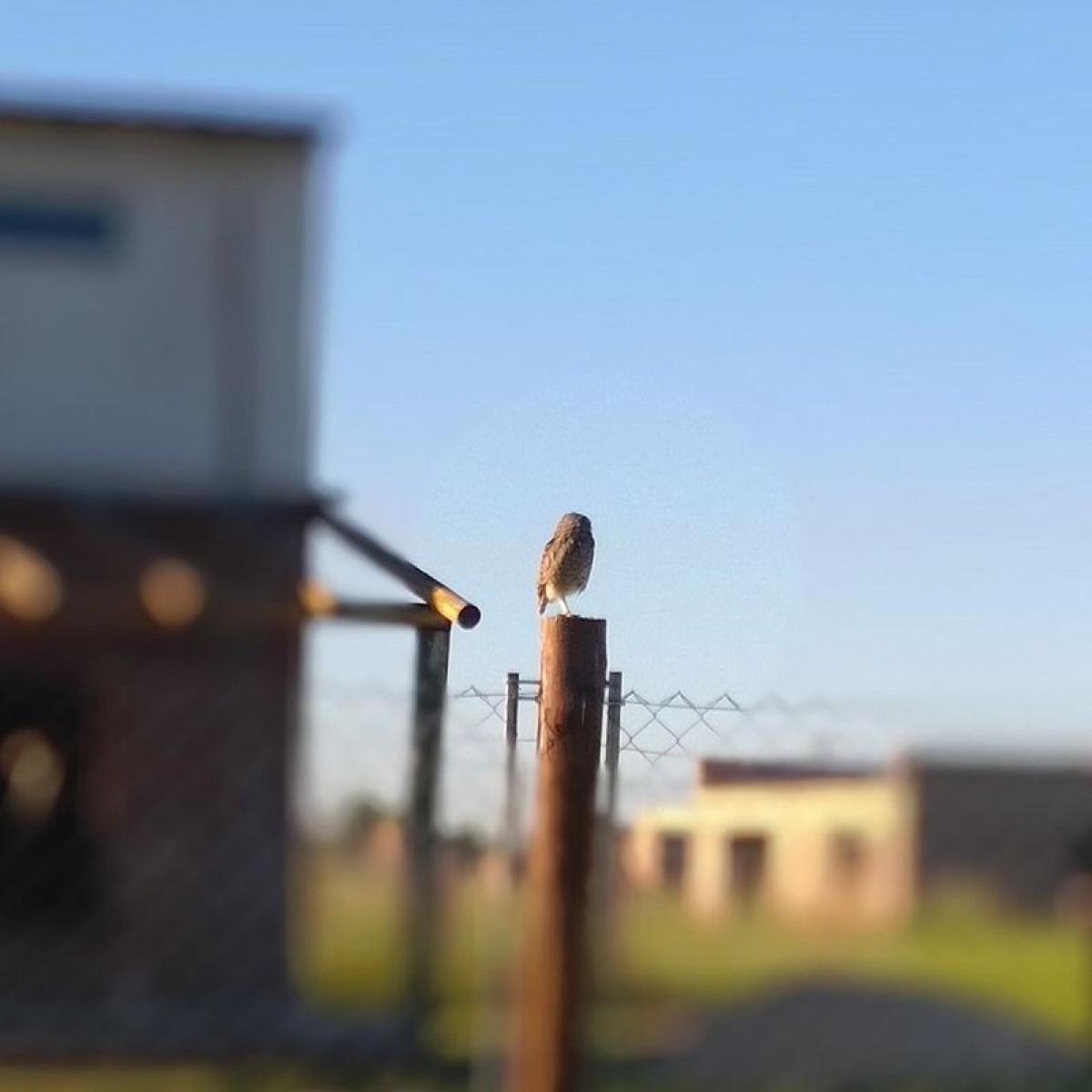 Picture of Residential Land For Sale in Santa Fe, Santa Fe, Argentina