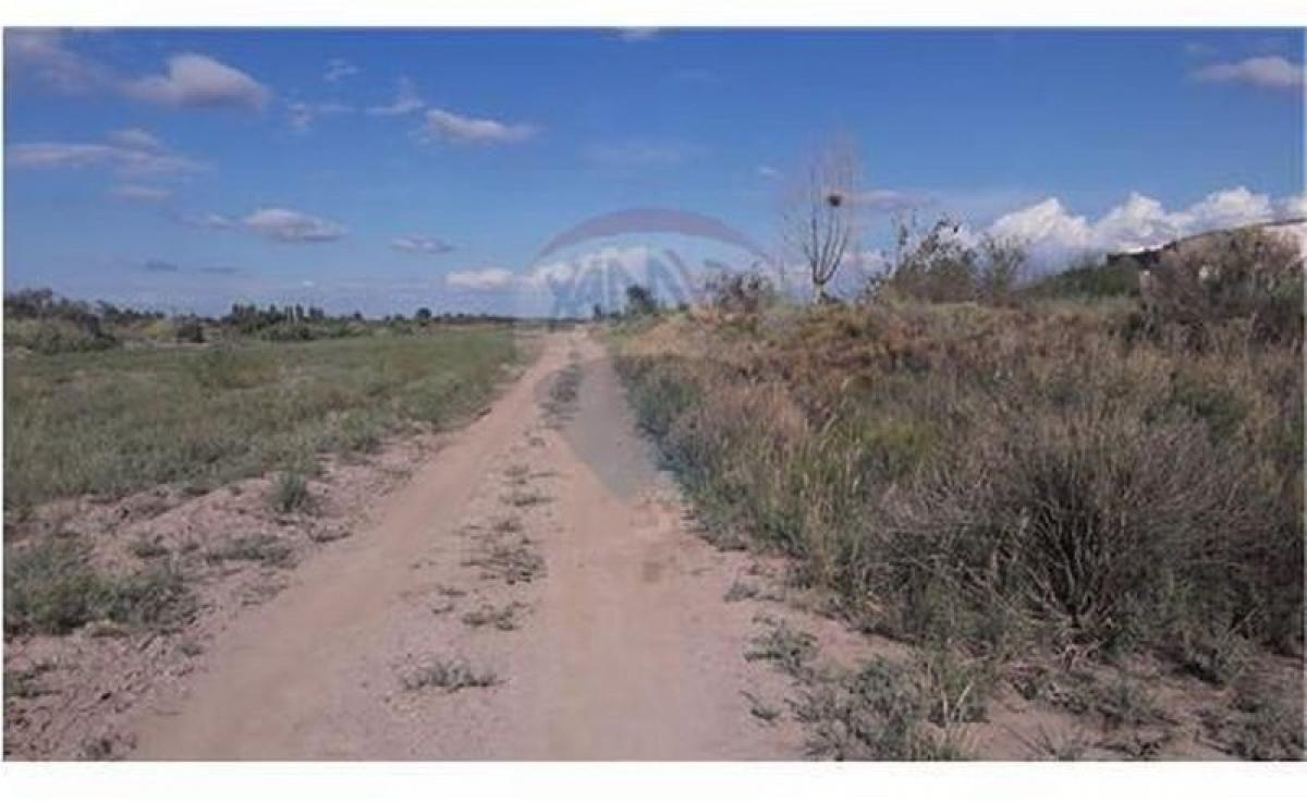 Picture of Home For Sale in Mendoza, Mendoza, Argentina