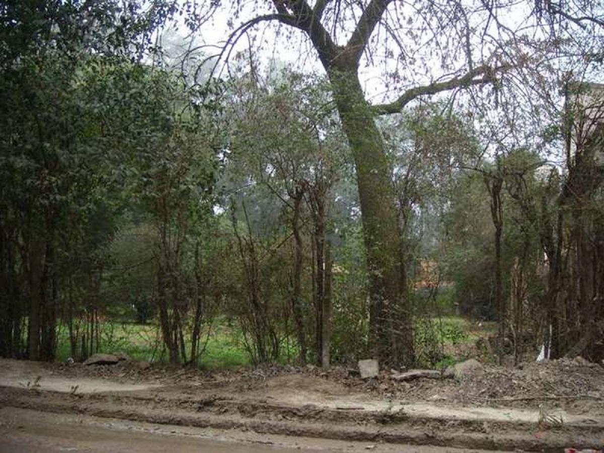 Picture of Residential Land For Sale in Jose C Paz, Buenos Aires, Argentina