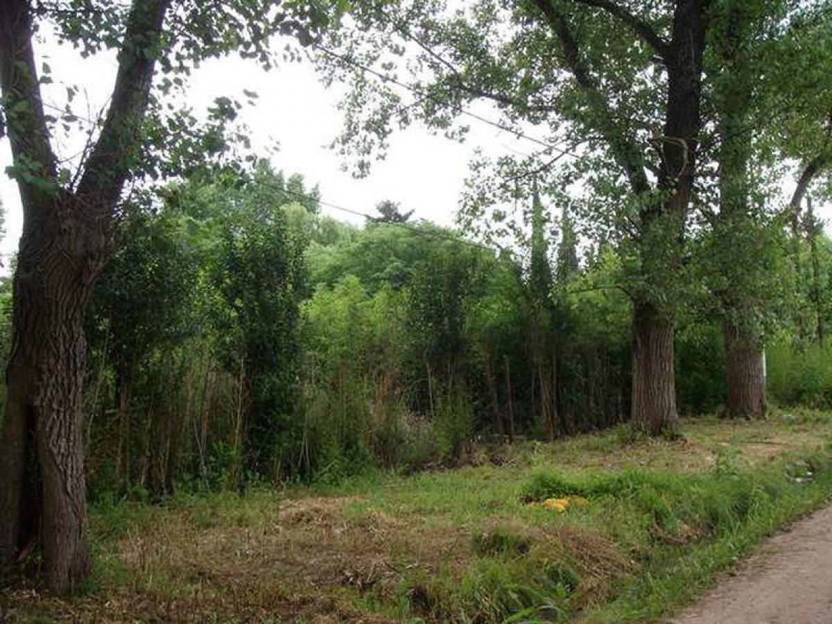 Picture of Residential Land For Sale in Malvinas Argentinas, Buenos Aires, Argentina