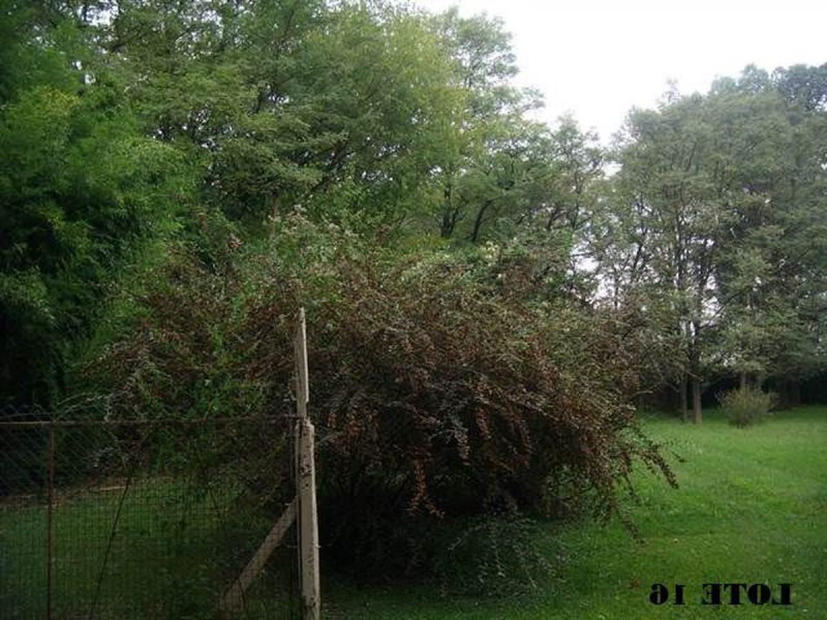 Picture of Residential Land For Sale in Jose C Paz, Buenos Aires, Argentina