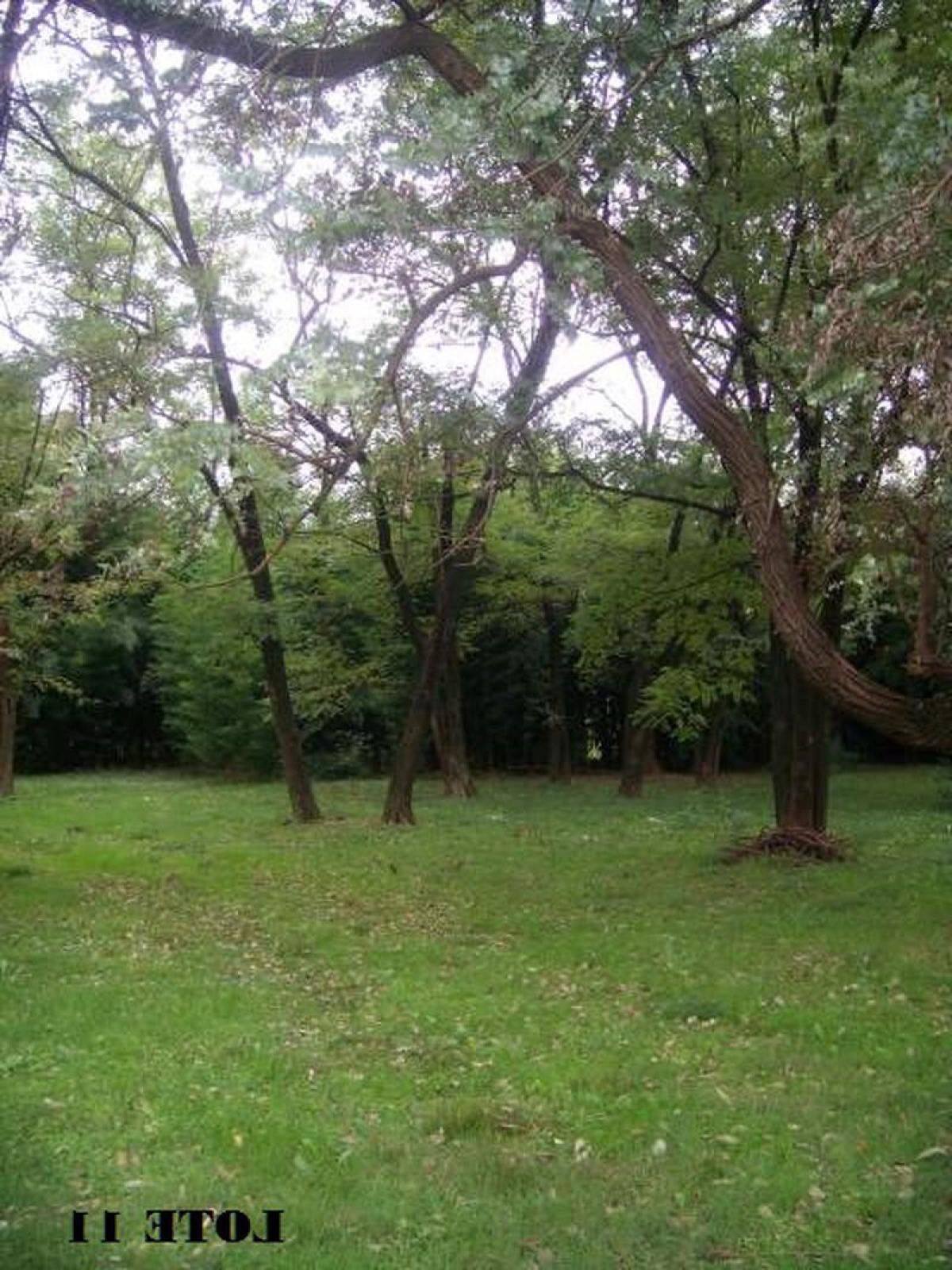 Picture of Residential Land For Sale in Jose C Paz, Buenos Aires, Argentina