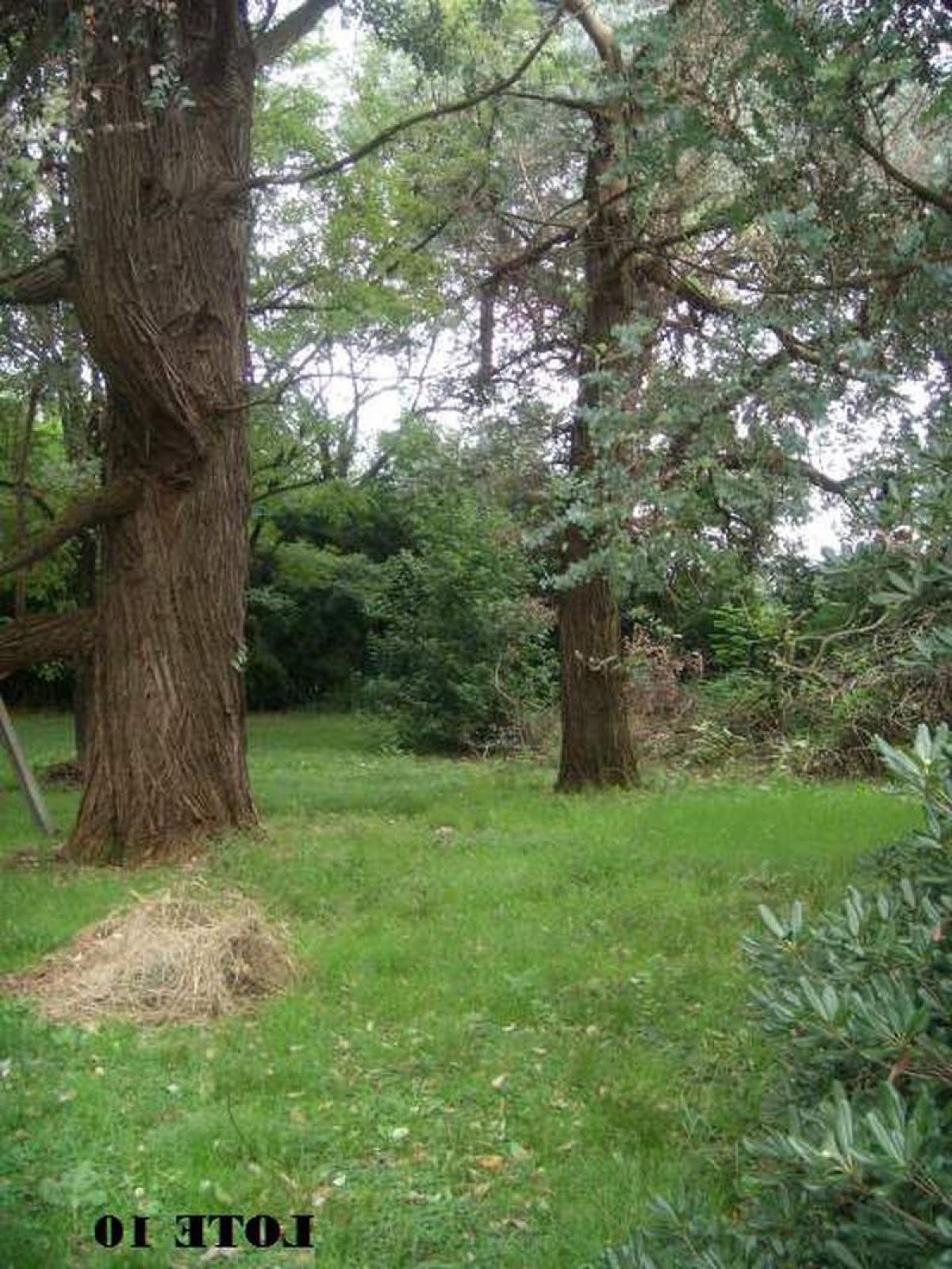 Picture of Residential Land For Sale in Jose C Paz, Buenos Aires, Argentina