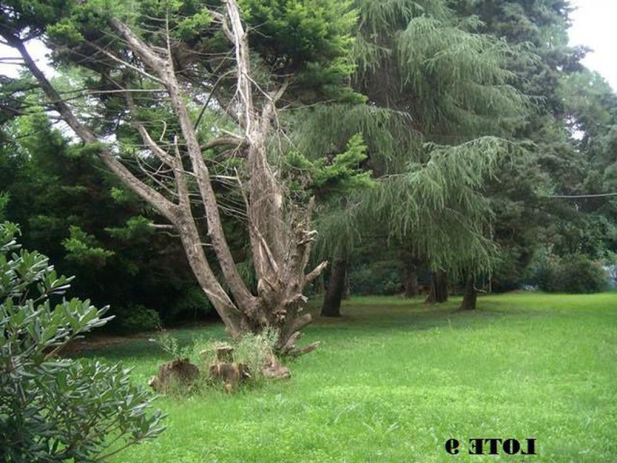 Picture of Residential Land For Sale in Jose C Paz, Buenos Aires, Argentina