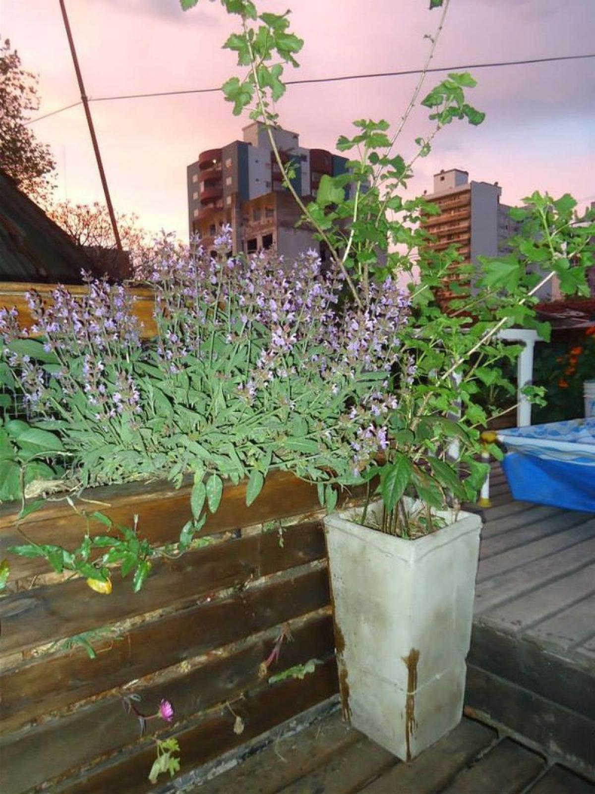 Picture of Home For Sale in Mar Del Plata, Buenos Aires, Argentina