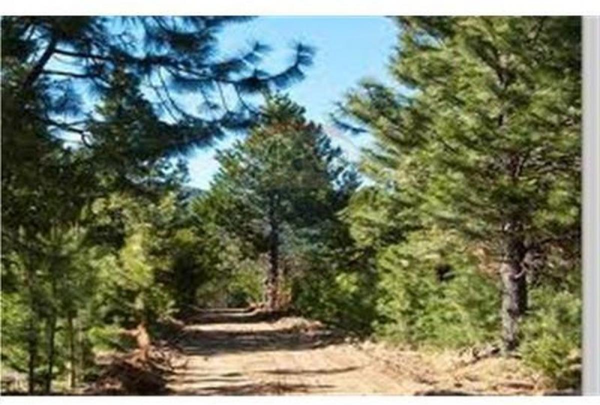 Picture of Residential Land For Sale in San Carlos De Bariloche, Rio Negro, Argentina