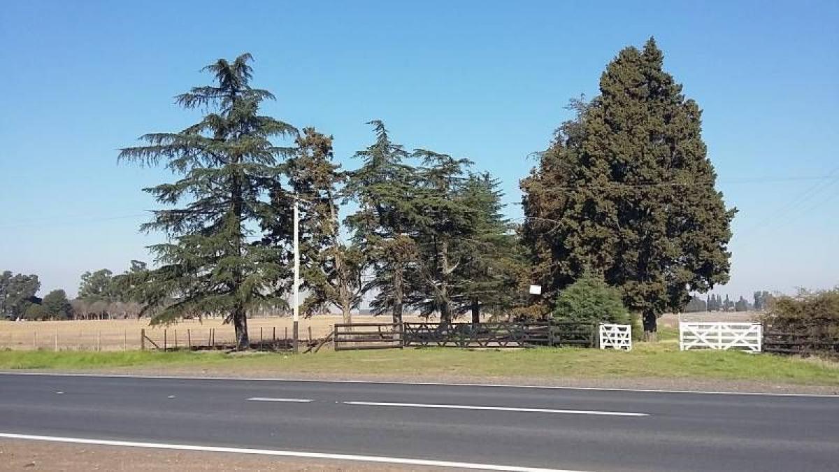 Picture of Home For Sale in Arrecifes, Buenos Aires, Argentina