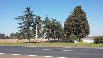 Home For Sale in Arrecifes, Argentina